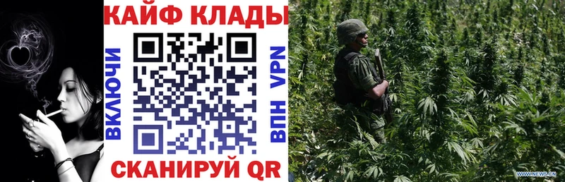 Где купить наркоту Боровичи ГАШ  МЕТАДОН  Меф мяу мяу  Галлюциногенные грибы 